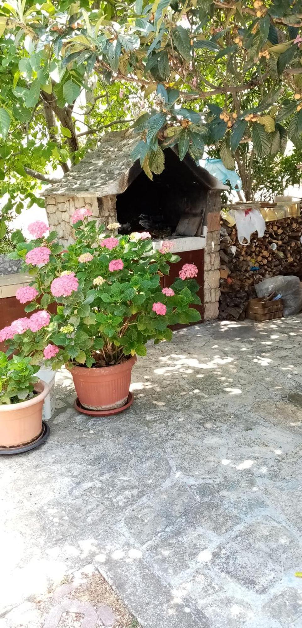 Bilo Near